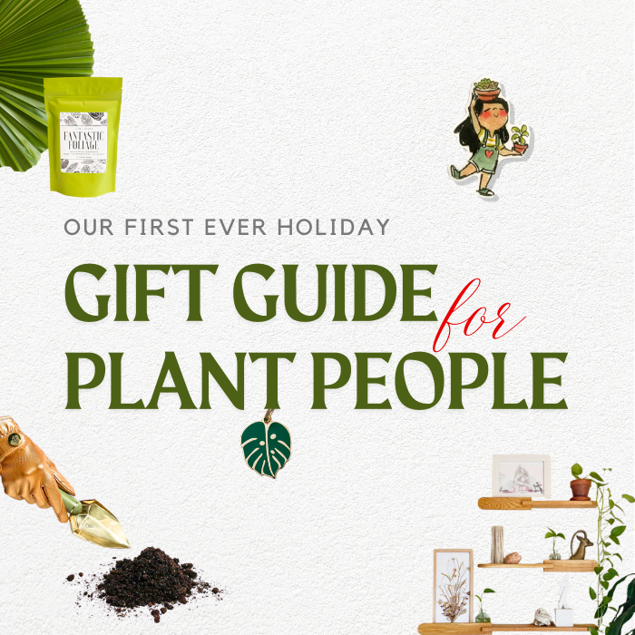 Best 15 plant gifts for the holidays