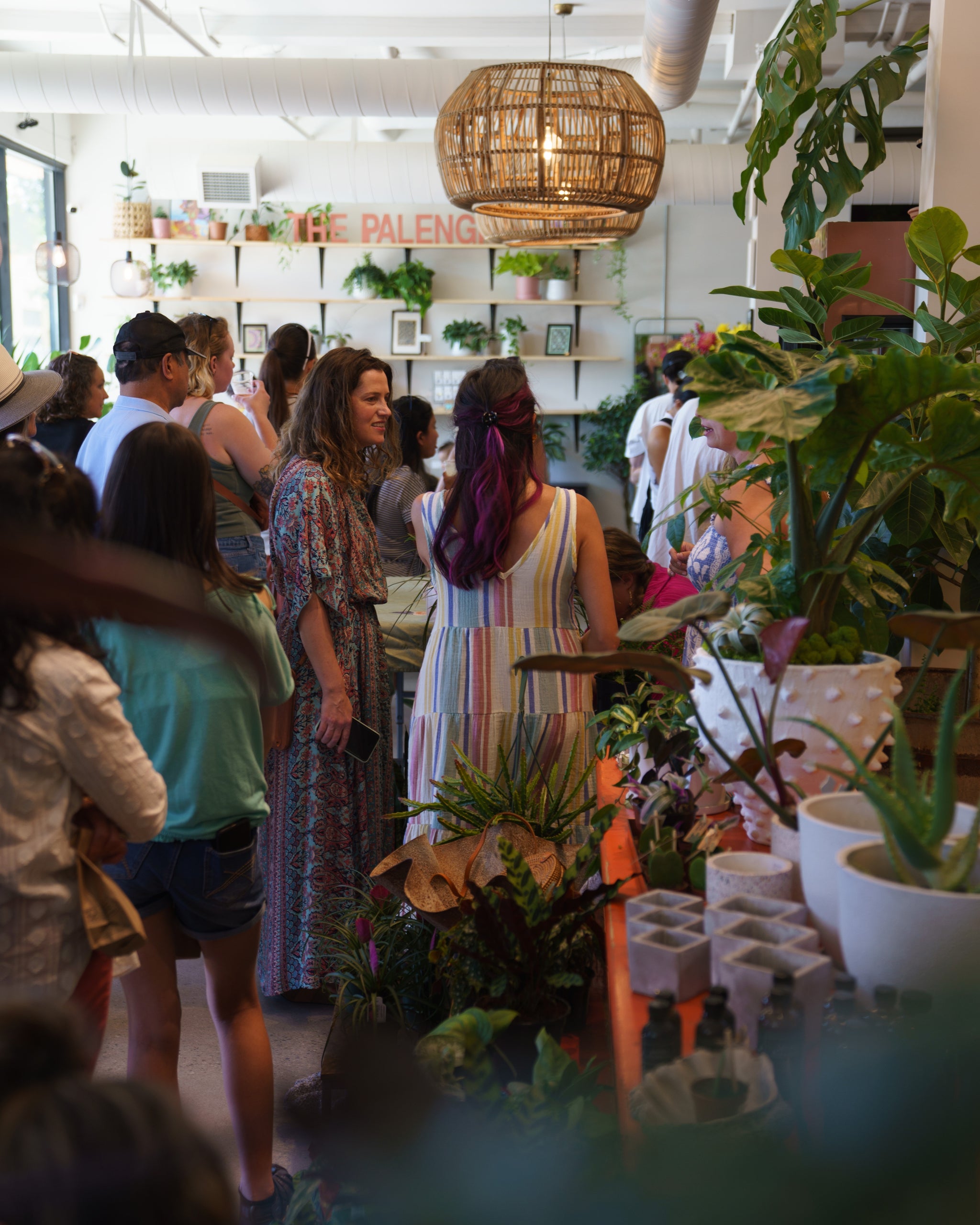 Portland Oregon Houseplant Services and Events  Daphne's Botanicals